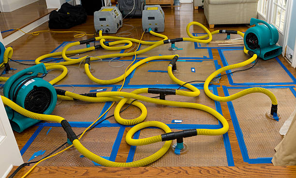Professional Basement Flood Cleanup technician working in Jasper, GA
